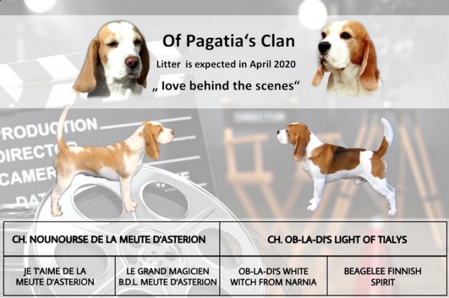 Ch. Nounourse de la Meute D Astérion X Ch. Ob-La-Di s Light of Tialys