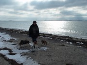 Strand_im_Winter_4