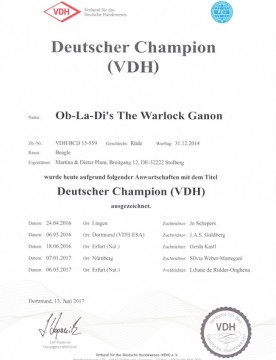 Deutscher Champion VDH