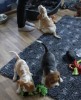IMG 3860