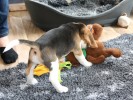 IMG 3870