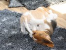 IMG 3876