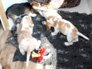 IMG 3933