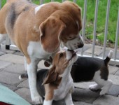 Bild 8
