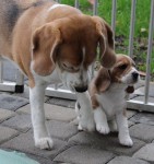 Bild 9