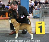 Country Hunters Quorry Main