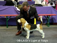 OB-LA-DI´S Light of Tialys