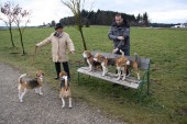 Hundewiese