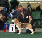 Sir Simon of Dynamite`s Gentry 1. Platz und Bester Veteran