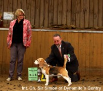 Int. Ch. Sir Simon of Dynamites Gentry BIS Veteran