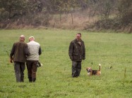 Allgemeiner Gehorsam ohne Wildberührung 