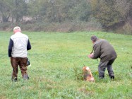 Schussfestigkeit Pan wird geschickt