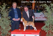  Country  Hunter`s  Quorry Main Bester Gebrauchshund und BIS 1 