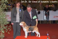  Int.Ch. Sir Simon of Dynamite´s Gentry Bester Veteran und BIS 3