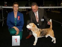 CACIB Leuven 2015 B  Richter Frau L. Frncová CZ excellent 1, Bester Veteran