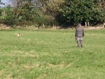 Schussfestigkeit im Feld oder Wald