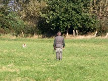 Schussfestigkeit im Feld oder Wald Tialys wird zurück gerufen 