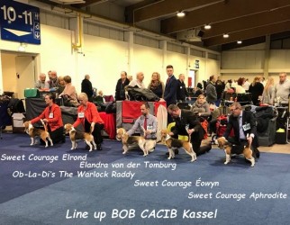Line up BOB CACIB Kassel