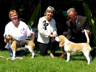 CAC Cuddling Cheeks Marvellous Leslie Caron / Res. CAC Nounourse de la meute d astérion