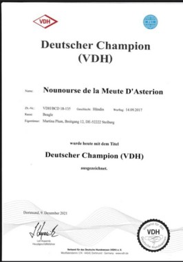 Deutscher Champion VDH