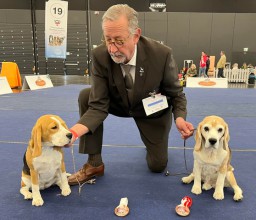 Bester Jüngsternhund u. Bester Veteran