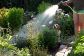 Sommerliche Wasserspiele im Garten