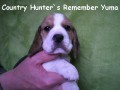 Country Hunter´s Remember Yuma